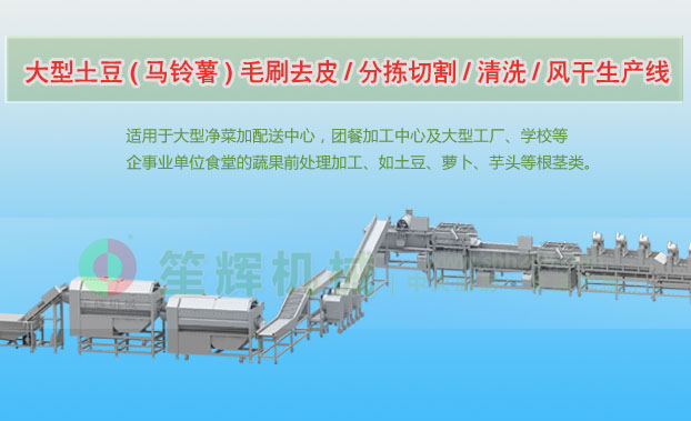 金沙连续式土豆去皮清洗切割风干生产线